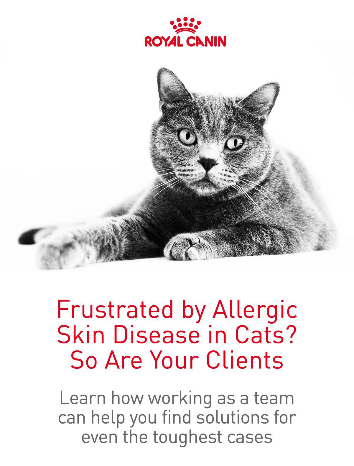 {{custommediaemailsadvanced::headline}}